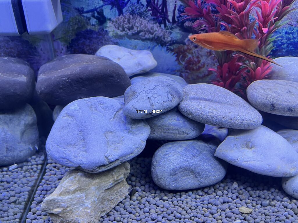 Akvaryum üçün tebi dekorativ çay daşları seti bir ededi 2 azn - şəkil 2