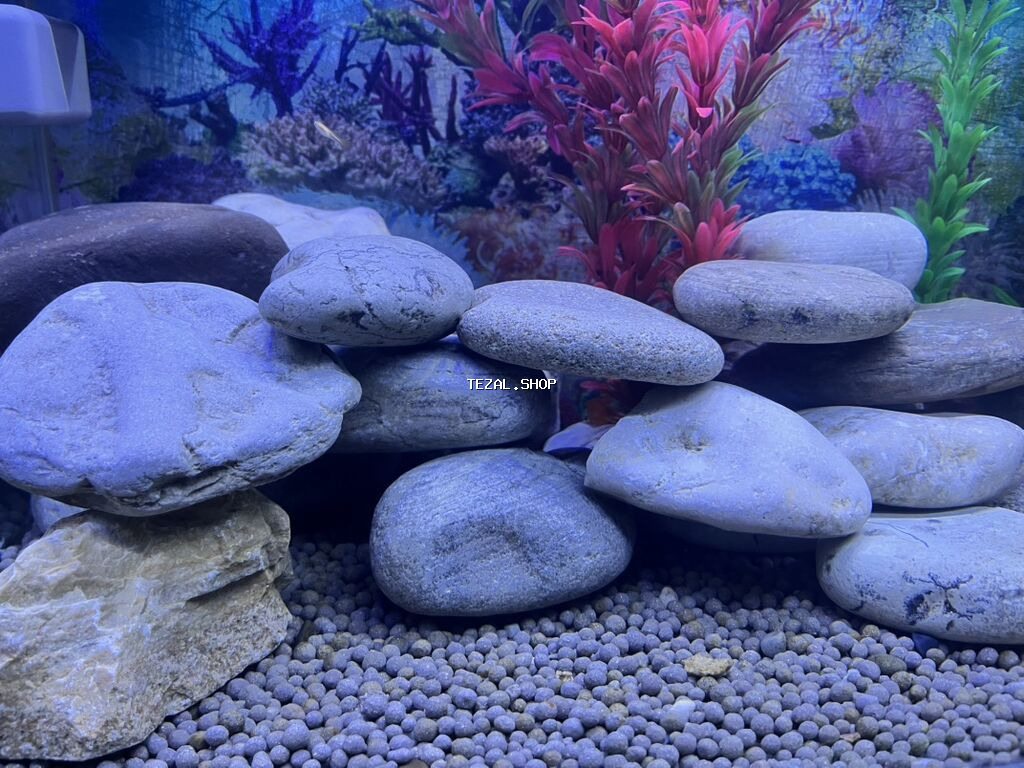 Akvaryum üçün tebi dekorativ çay daşları seti bir ededi 2 azn - şəkil 3