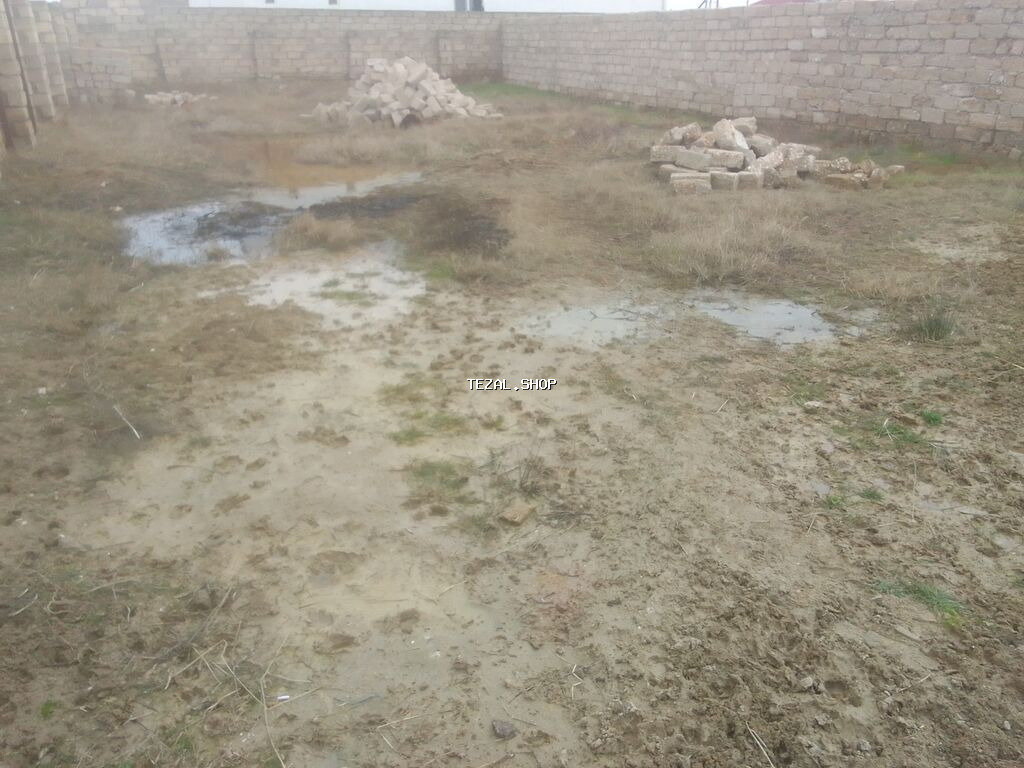 3 sot Biznes üçün