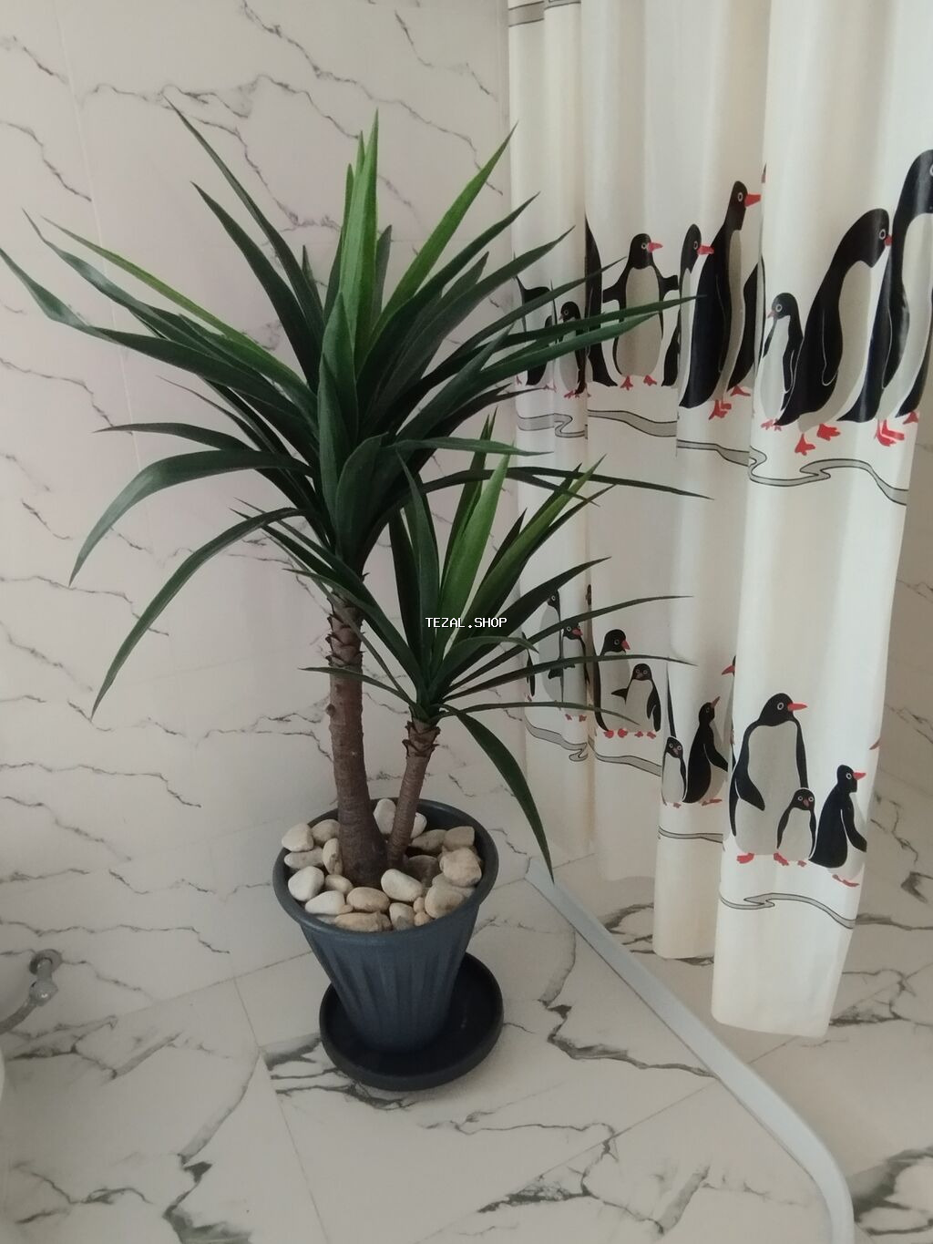 Madam koko palma hundurluyu 1.50 - şəkil 2