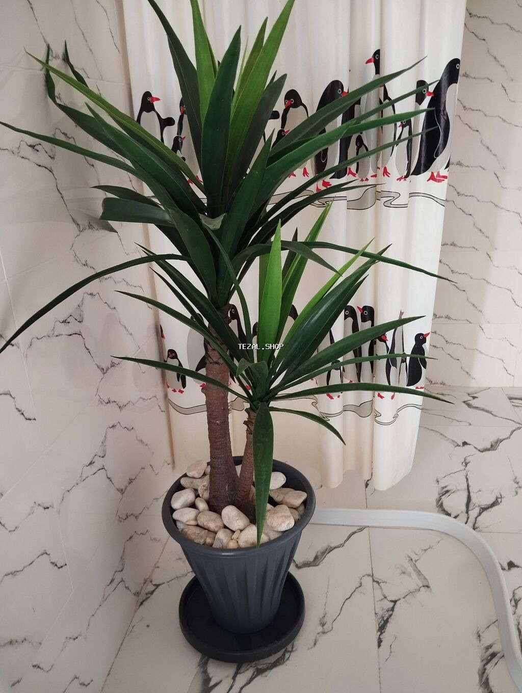 Madam koko palma hundurluyu 1.50 - şəkil 3