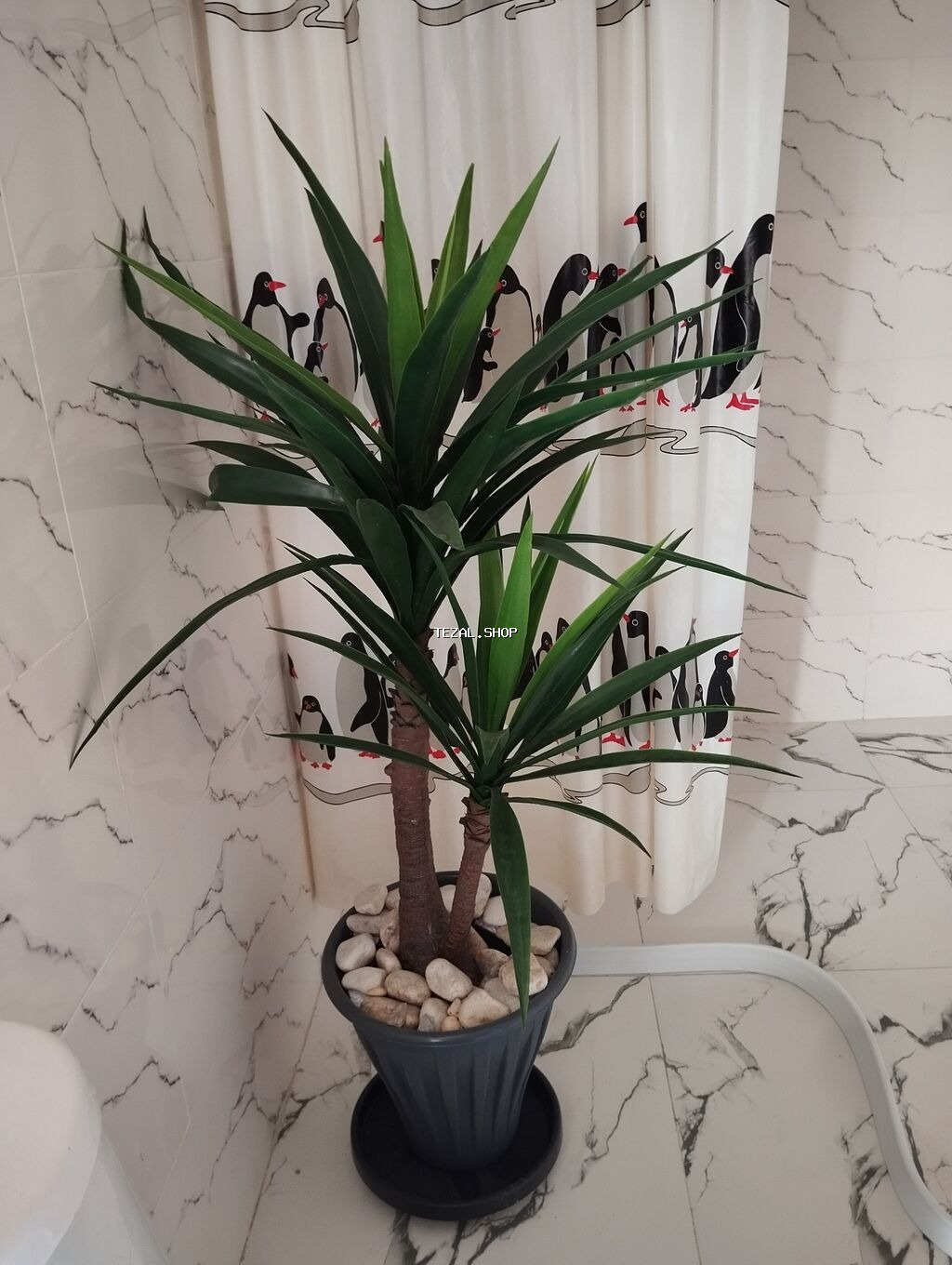 Madam koko palma hundurluyu 1.50 - şəkil 4