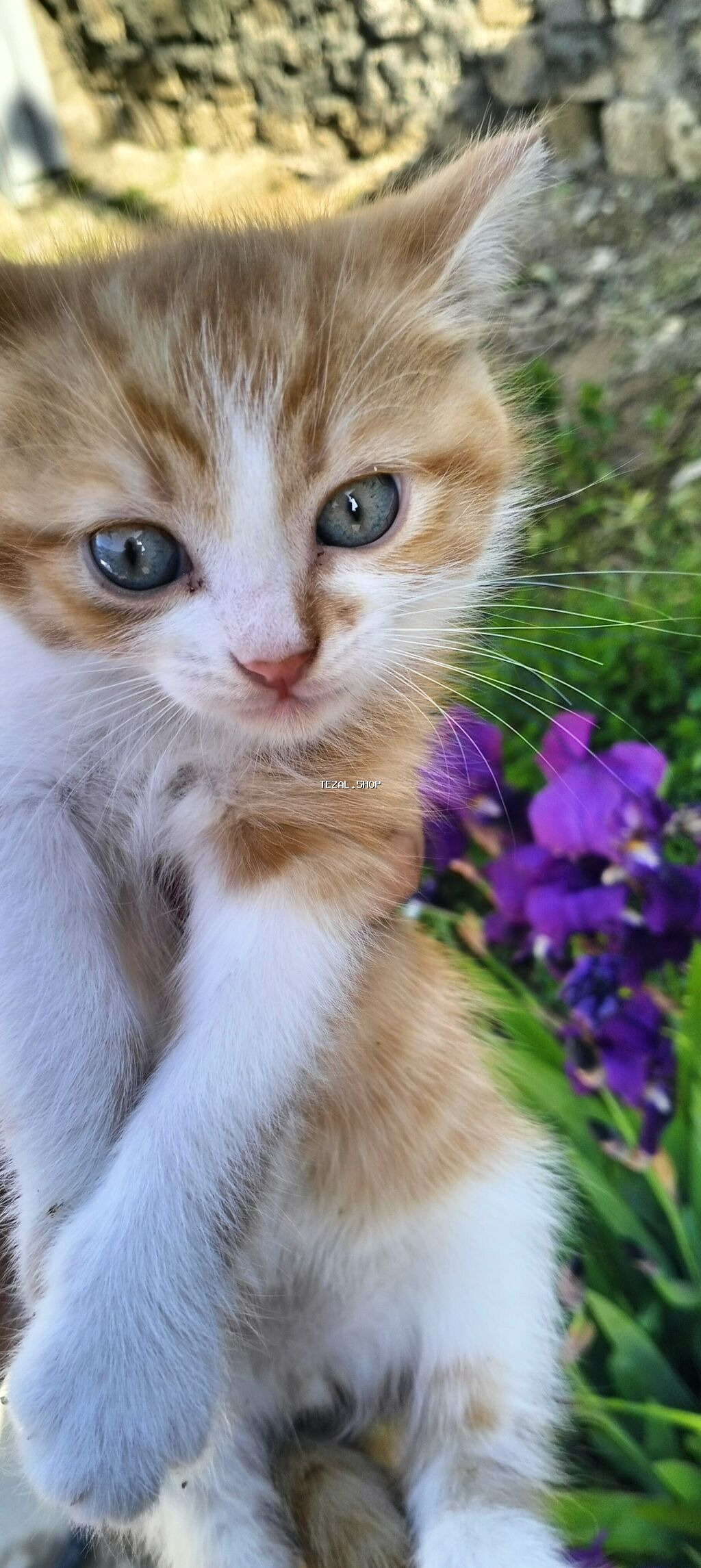 Yaxşı əllərə - şəkil 2