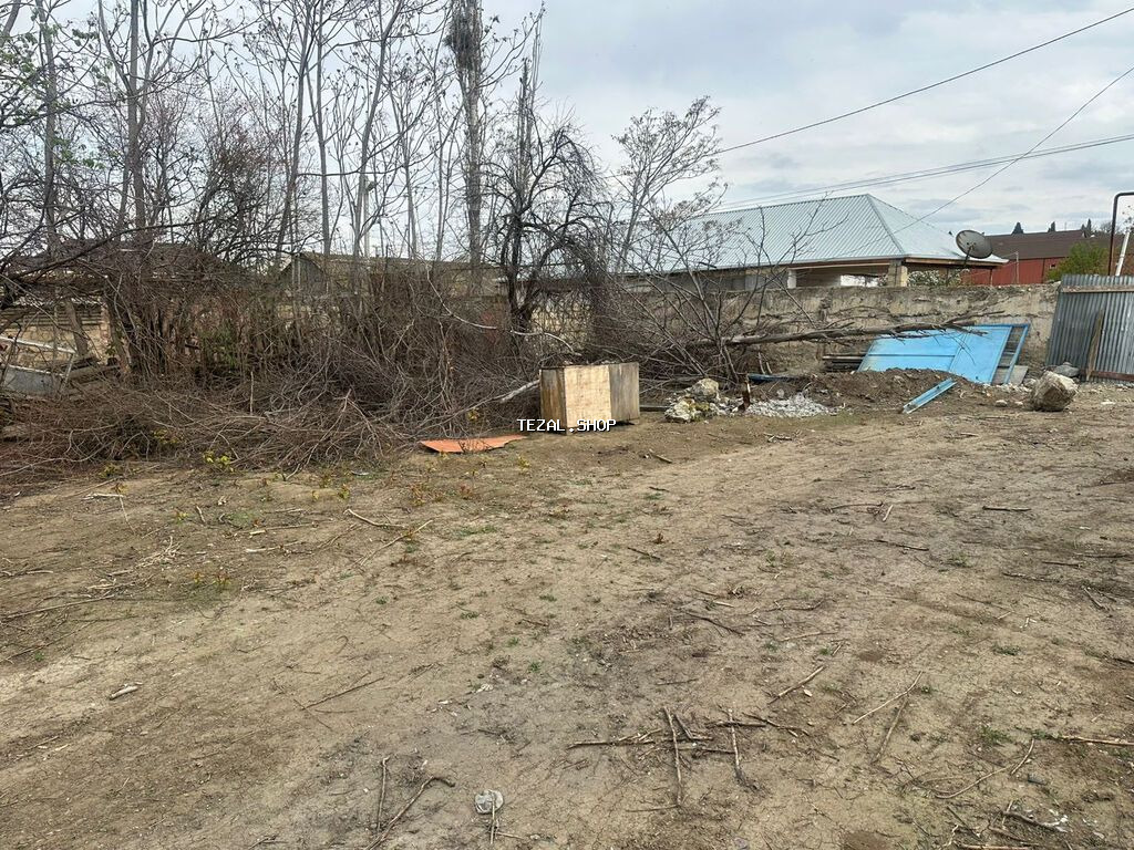 10 sot, Kənd təsərrüfatı, Maklerlər narahat etməsin, Kupça (Çıxarış) - şəkil 2