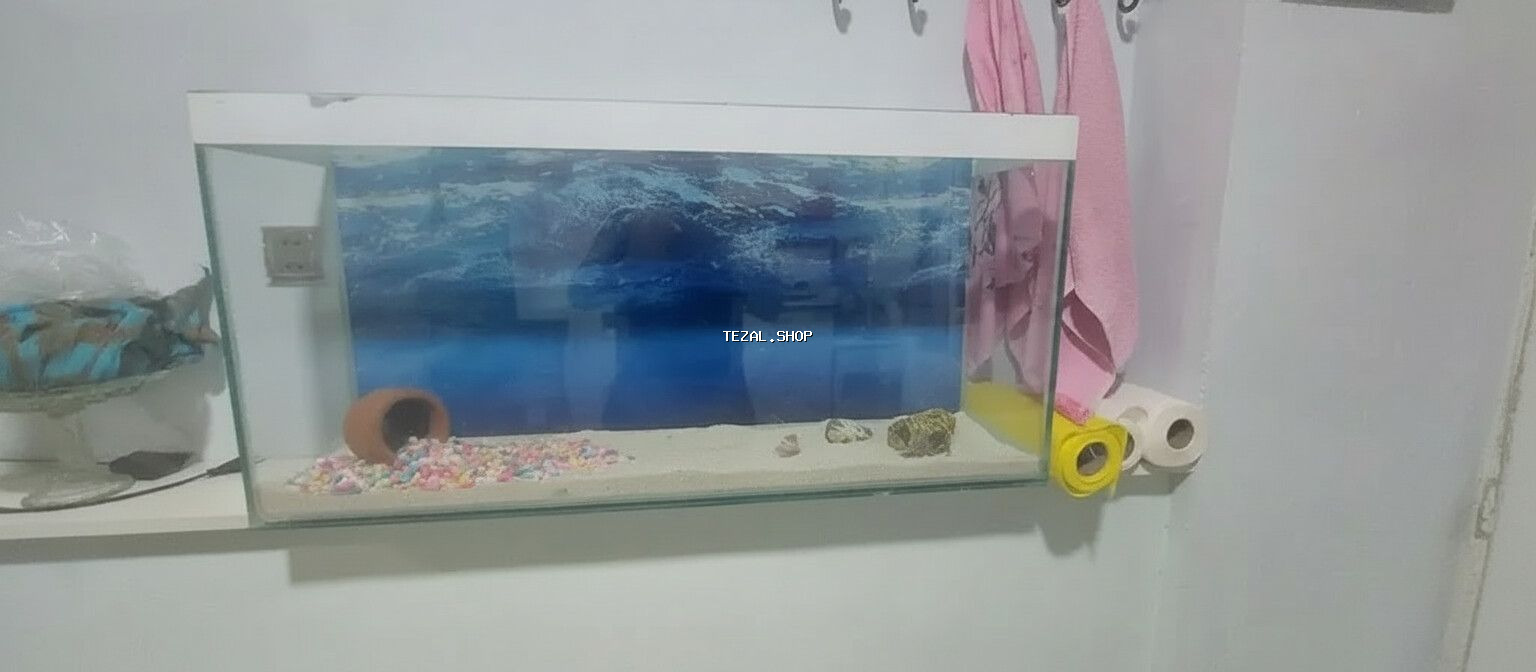 Dördbucaq akvarium, Boş, 100 l, Ödənişli çatdırılma