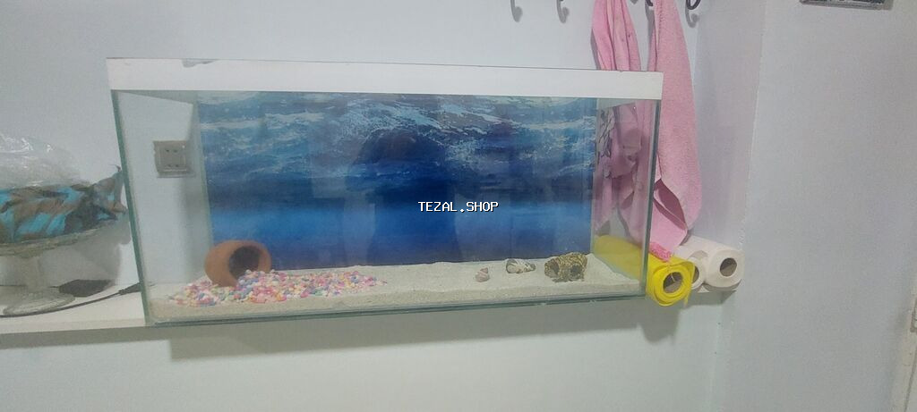 Dördbucaq akvarium, Boş, 100 l, Ödənişli çatdırılma - şəkil 2