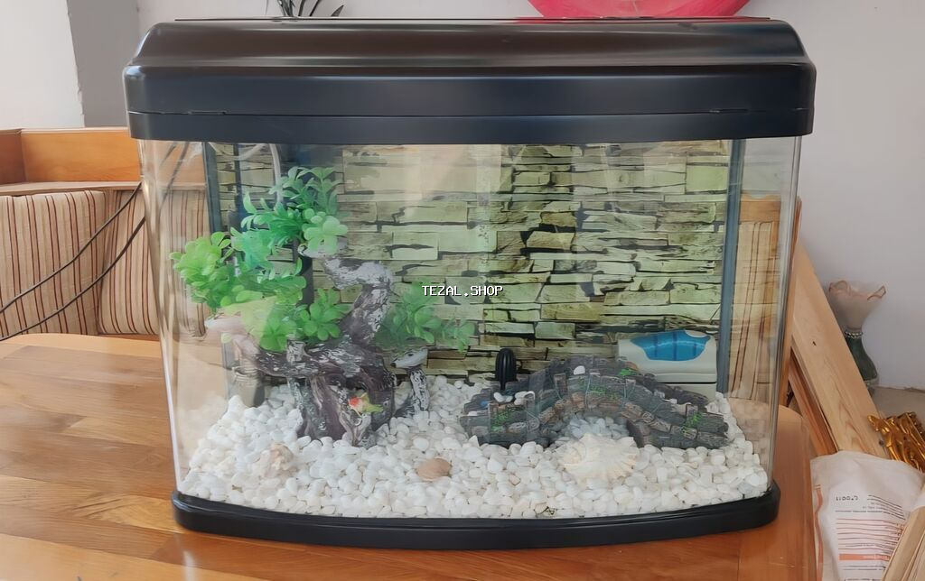 Ela veziyyetdedir, az iwlenib, ewyalarinnan biryerde verilir - şəkil 2