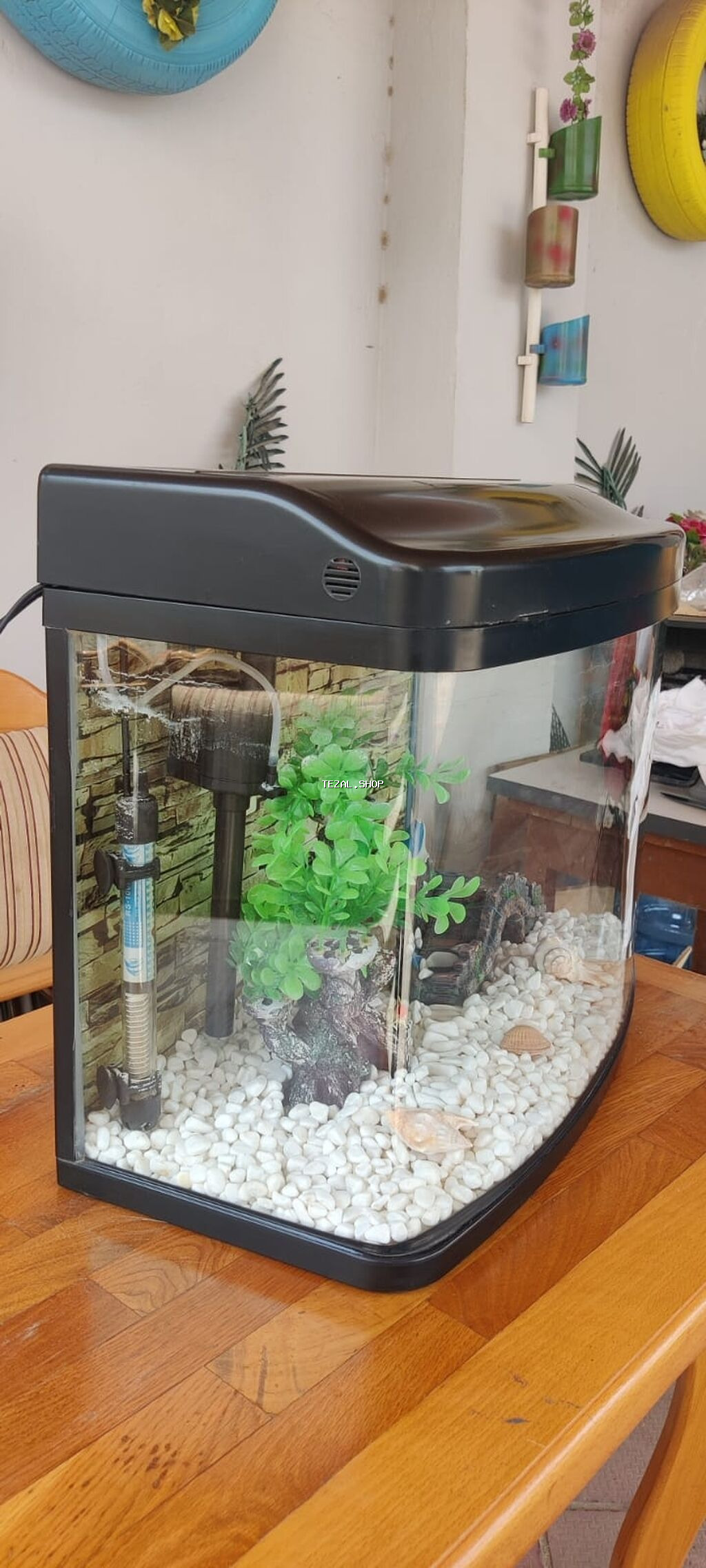 Ela veziyyetdedir, az iwlenib, ewyalarinnan biryerde verilir - şəkil 4