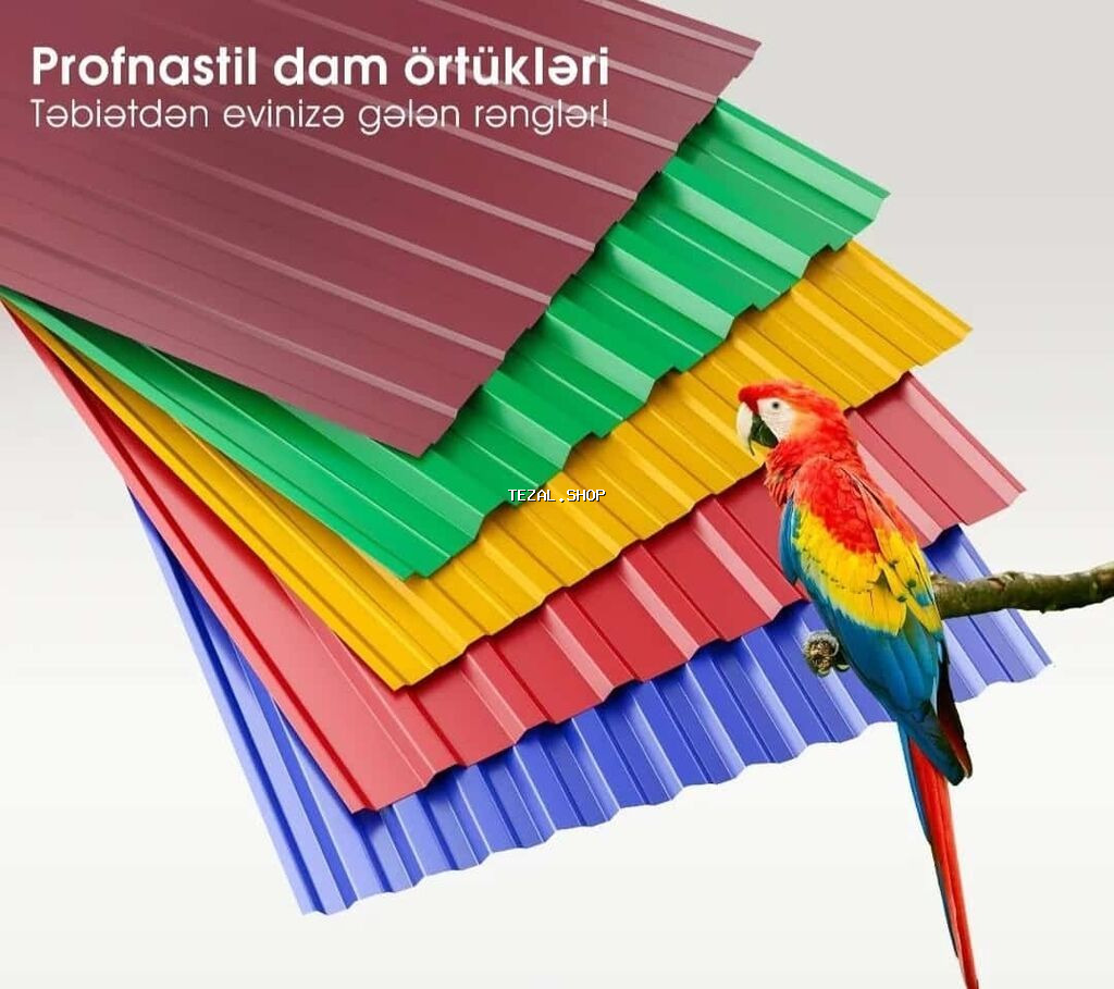 Dam ortukleri - şəkil 2