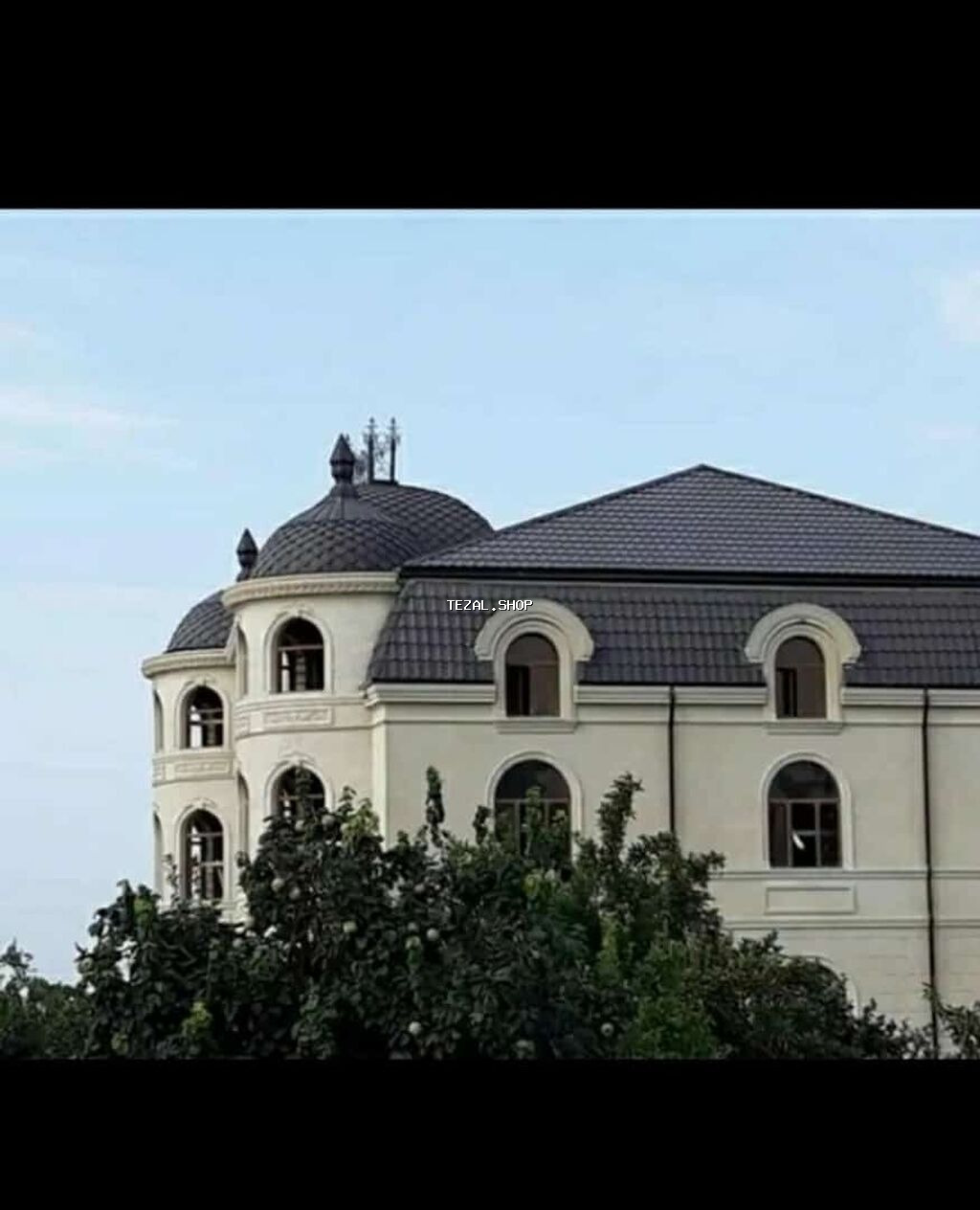 Dam ortukleri - şəkil 4