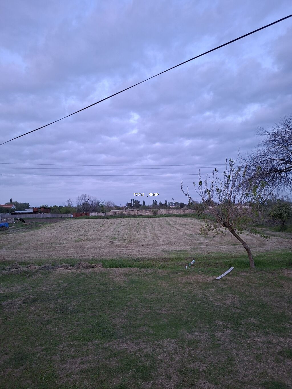 35 sot, Kənd təsərrüfatı, Maklerlər narahat etməsin, Kupça (Çıxarış)