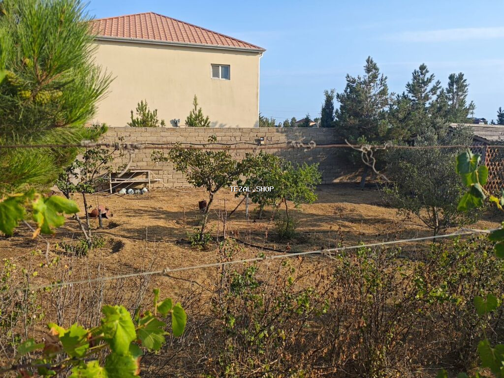 Zirə qəs. TƏCİLİ BAĞ SATILIR — 11.6 sot. - besedka, bağça və ev