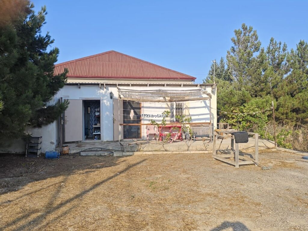 Zirə qəs. TƏCİLİ BAĞ SATILIR — 11.6 sot. - besedka, bağça və ev - şəkil 4