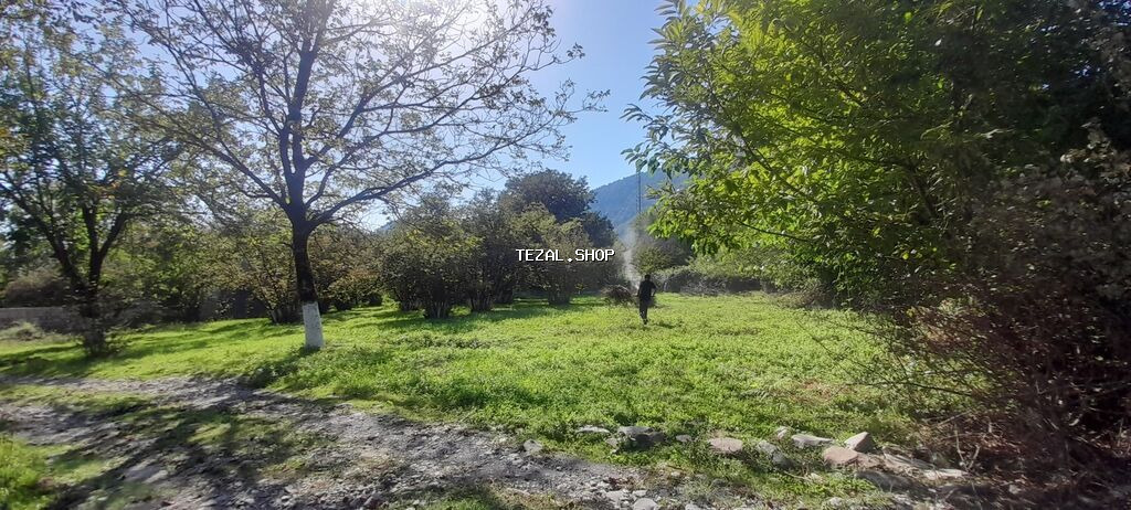 10 sot, Tikinti, Mülkiyyətçi, Kupça (Çıxarış)