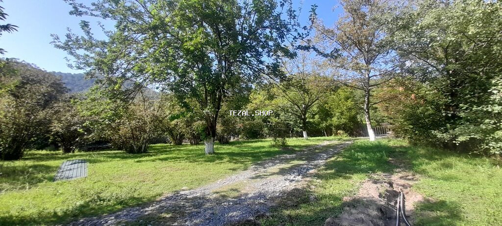 10 sot, Tikinti, Mülkiyyətçi, Kupça (Çıxarış) - şəkil 2