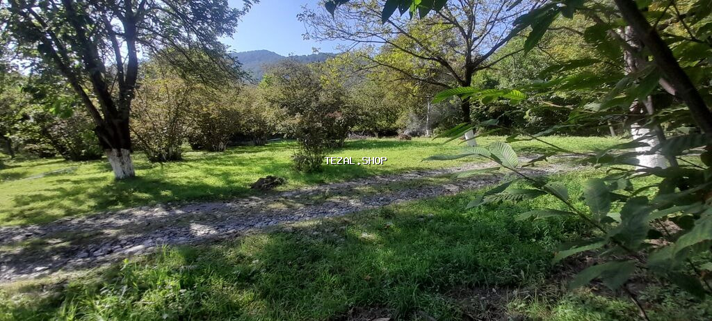 10 sot, Tikinti, Mülkiyyətçi, Kupça (Çıxarış) - şəkil 3