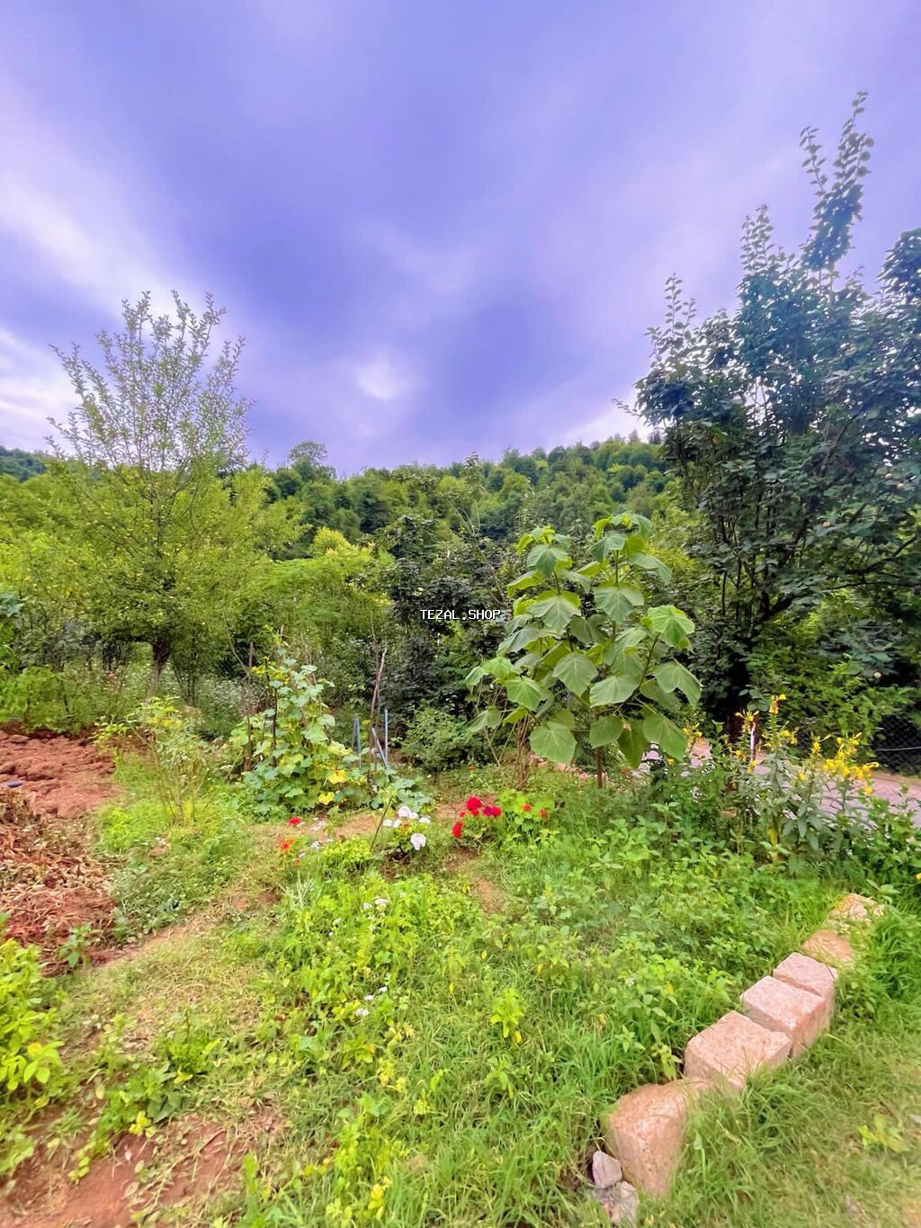 50 kv. m, 2 otaqlı, Qaz, İşıq, Su