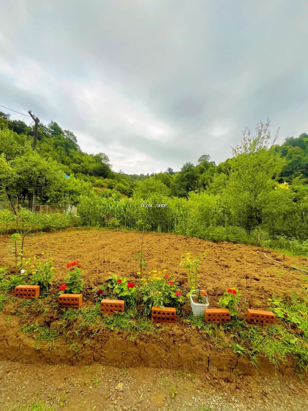 50 kv. m, 2 otaqlı, Qaz, İşıq, Su - şəkil 2