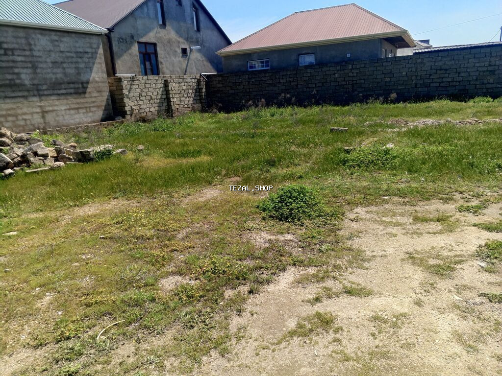 2 sot, Kənd təsərrüfatı, Bələdiyyə - şəkil 4