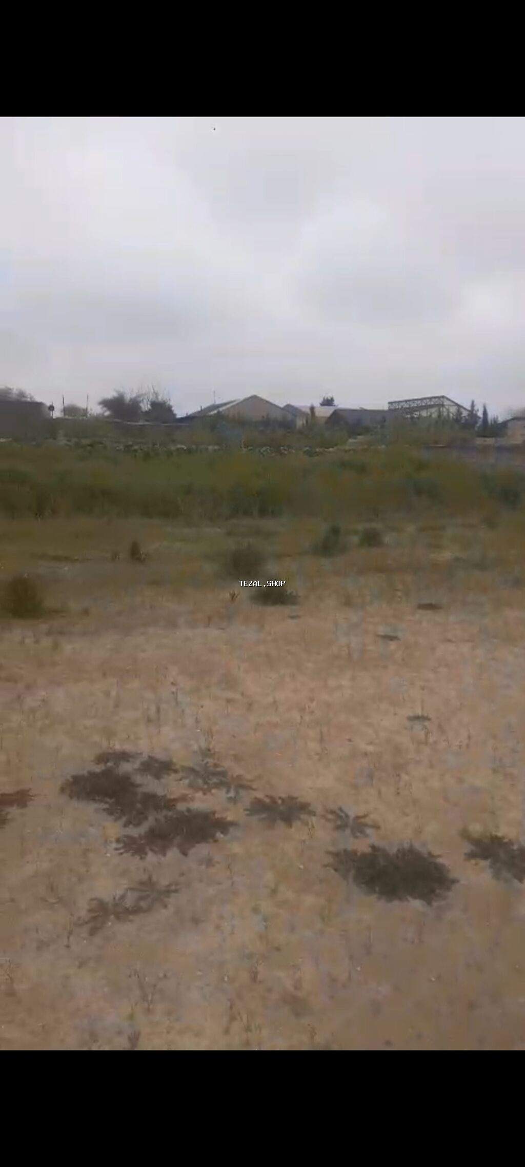 6 sot, Tikinti, Kupça (Çıxarış)