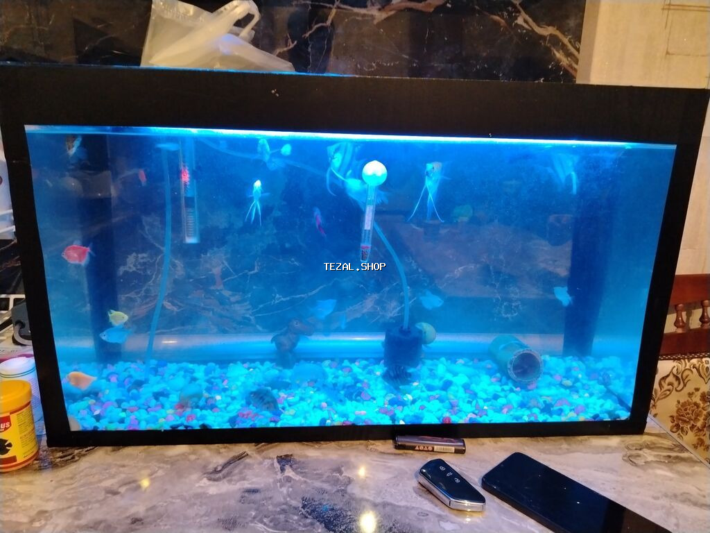 Salam satılır barter də olar balaca itlə erkey olsa belədə 130 azn