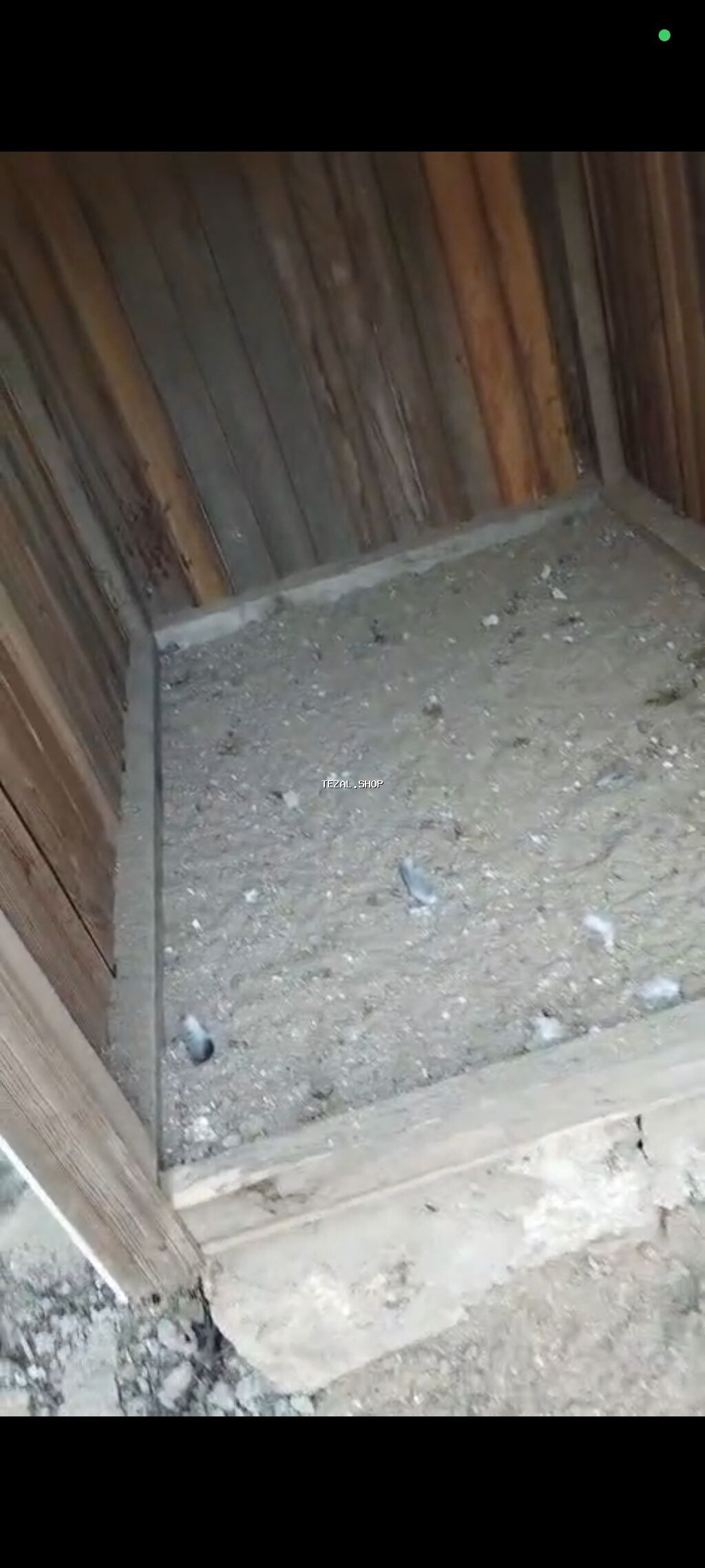 Salam tezə yiğirib əla vəziyyətdədir 15 manat - şəkil 2