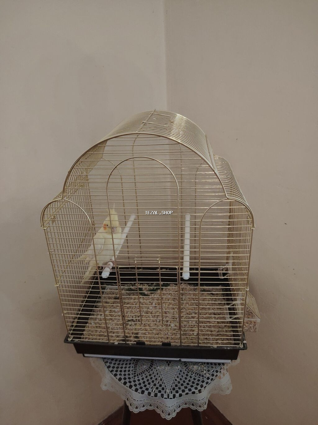 Korella ele oyrenib qefesle biryerde hamsi biryerde 100 azn - şəkil 2