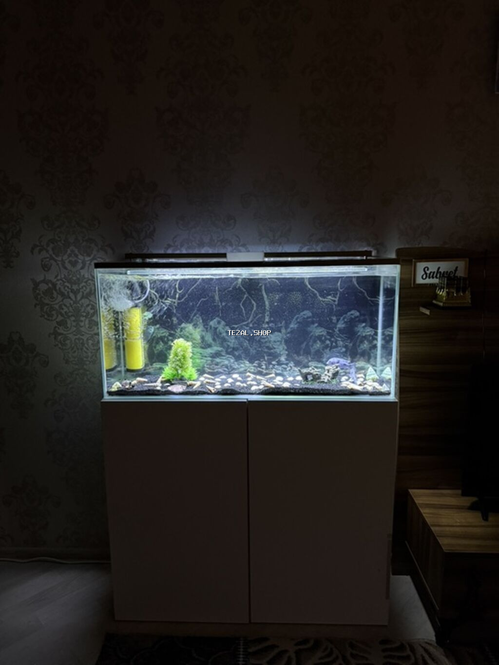 Dördbucaq akvarium, Balıqlarla birlikdə, 240 l
