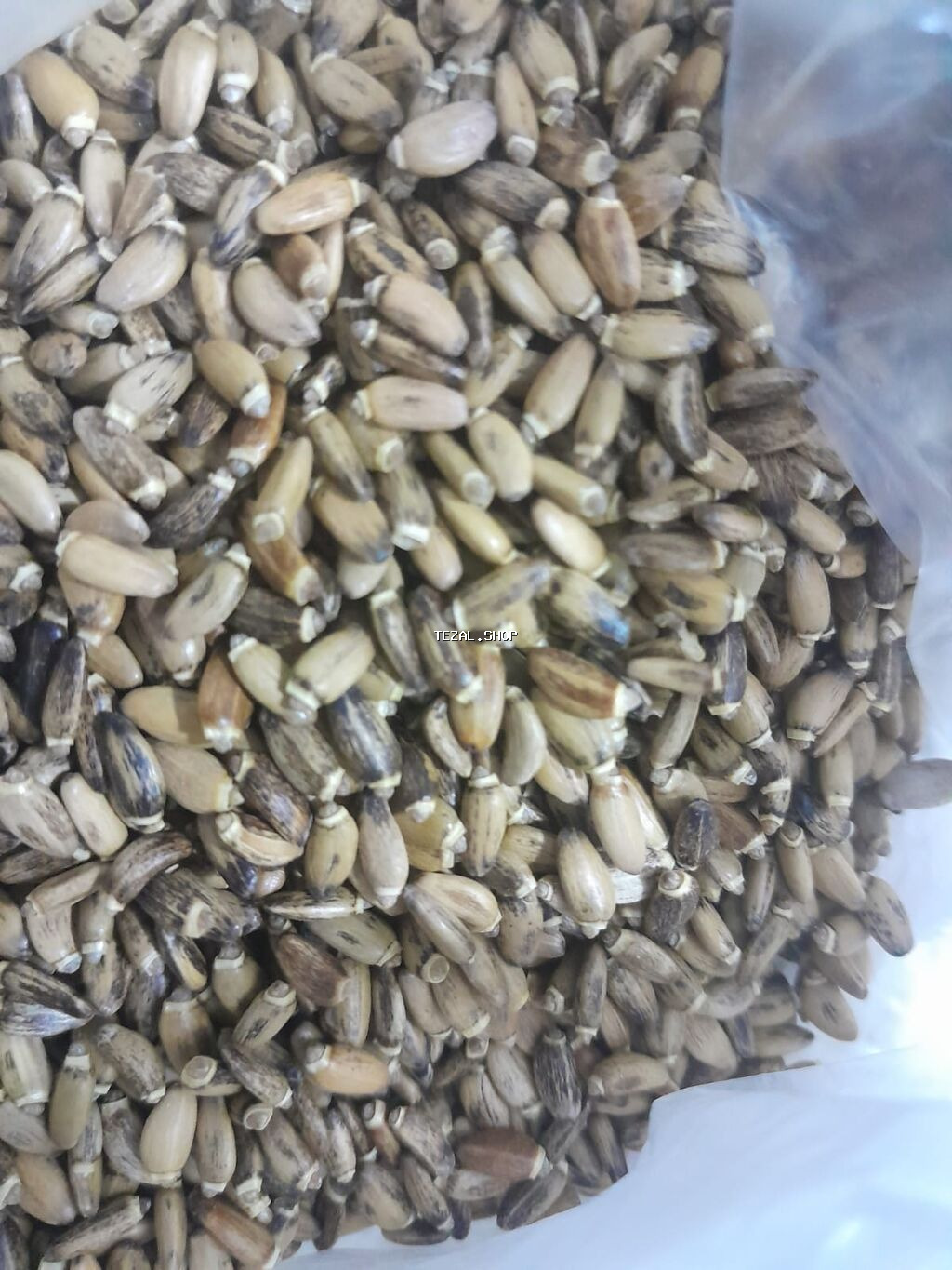 Alaqanqal çekirdeyi 1 kq 18 Azn