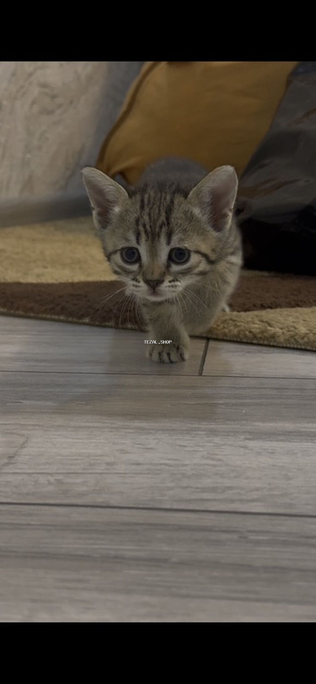 Yaxşı əllərə - şəkil 2