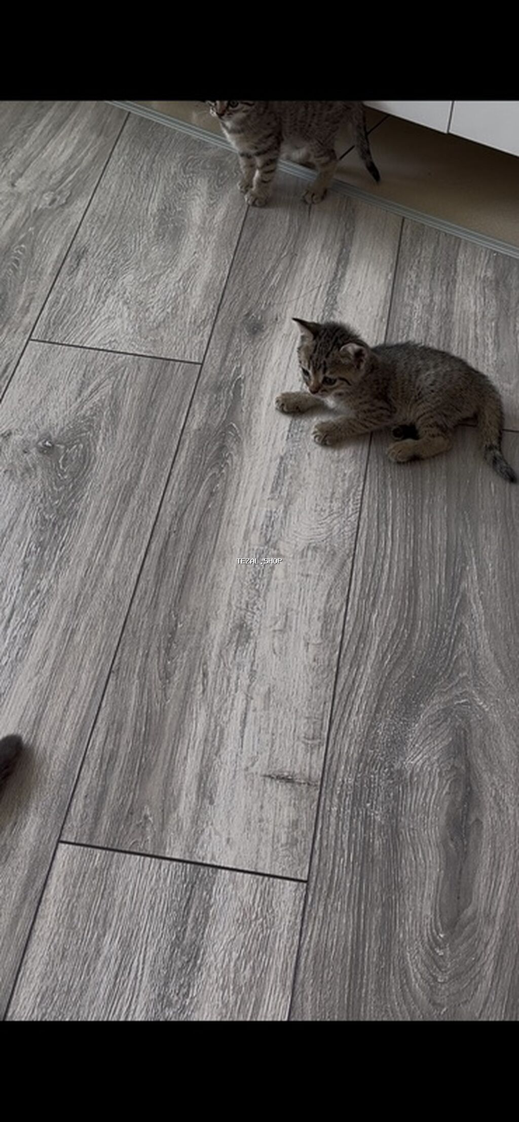 Yaxşı əllərə - şəkil 3