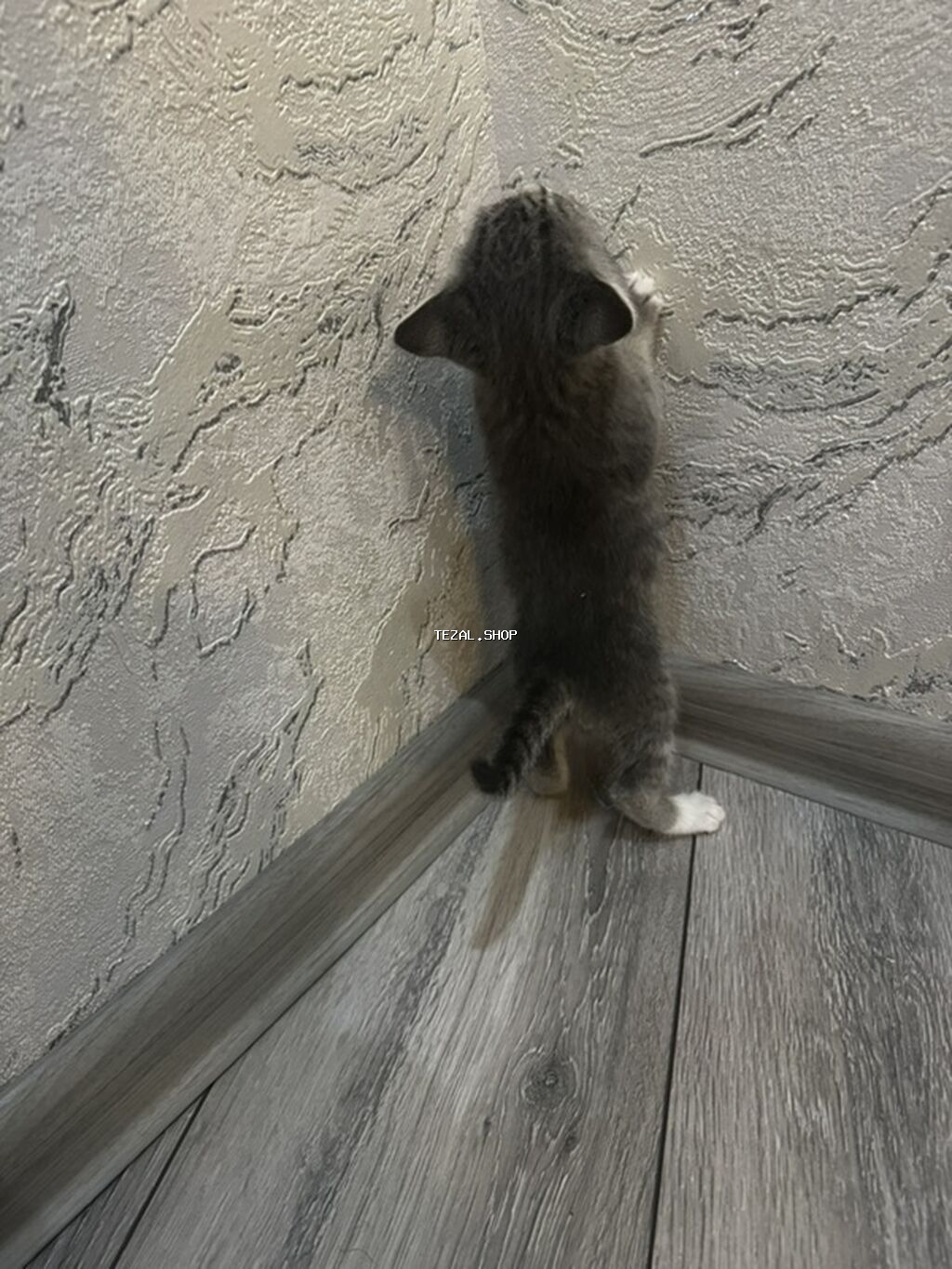 Yaxşı əllərə - şəkil 4