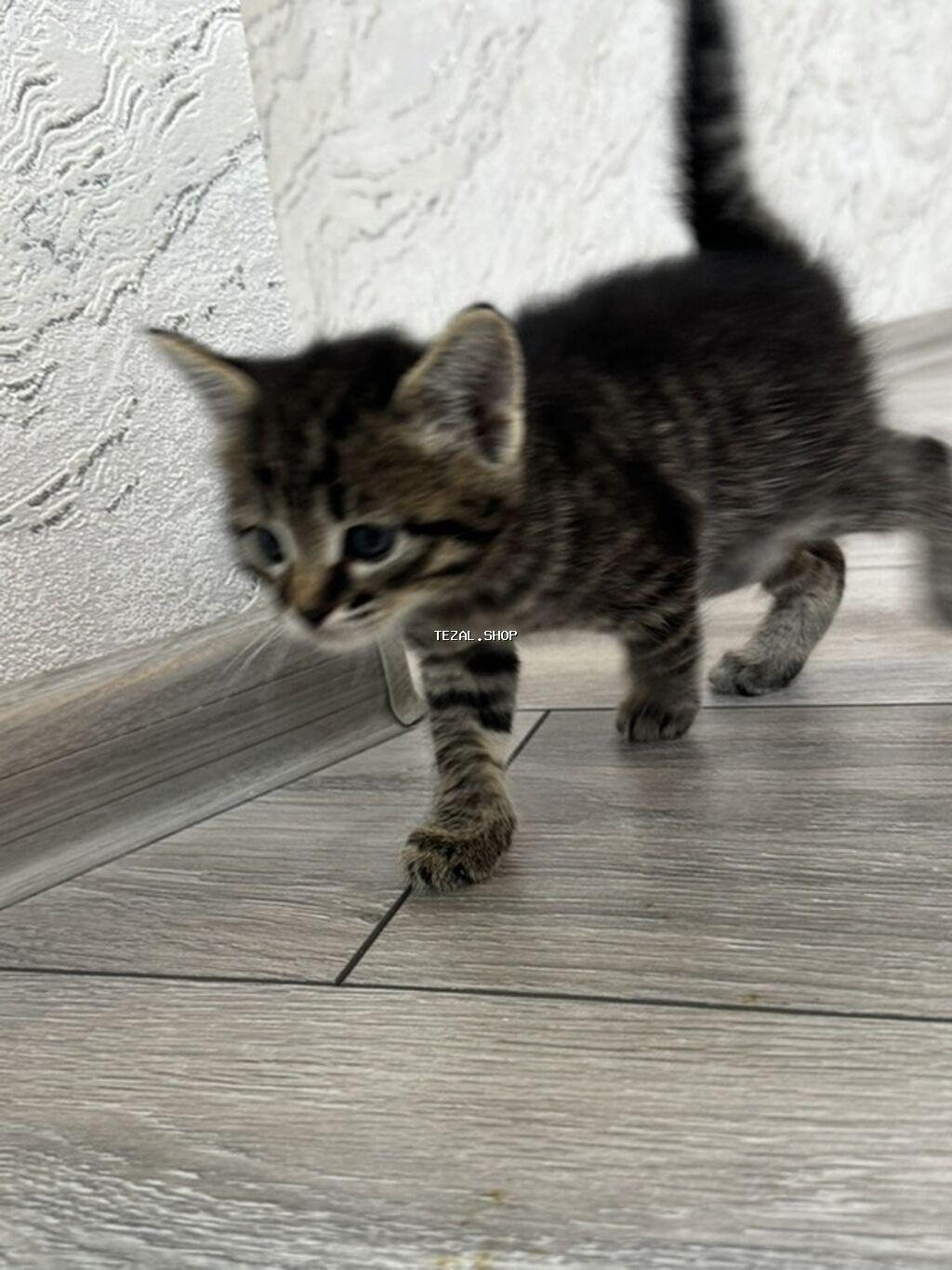 Yaxşı əllərə - şəkil 5