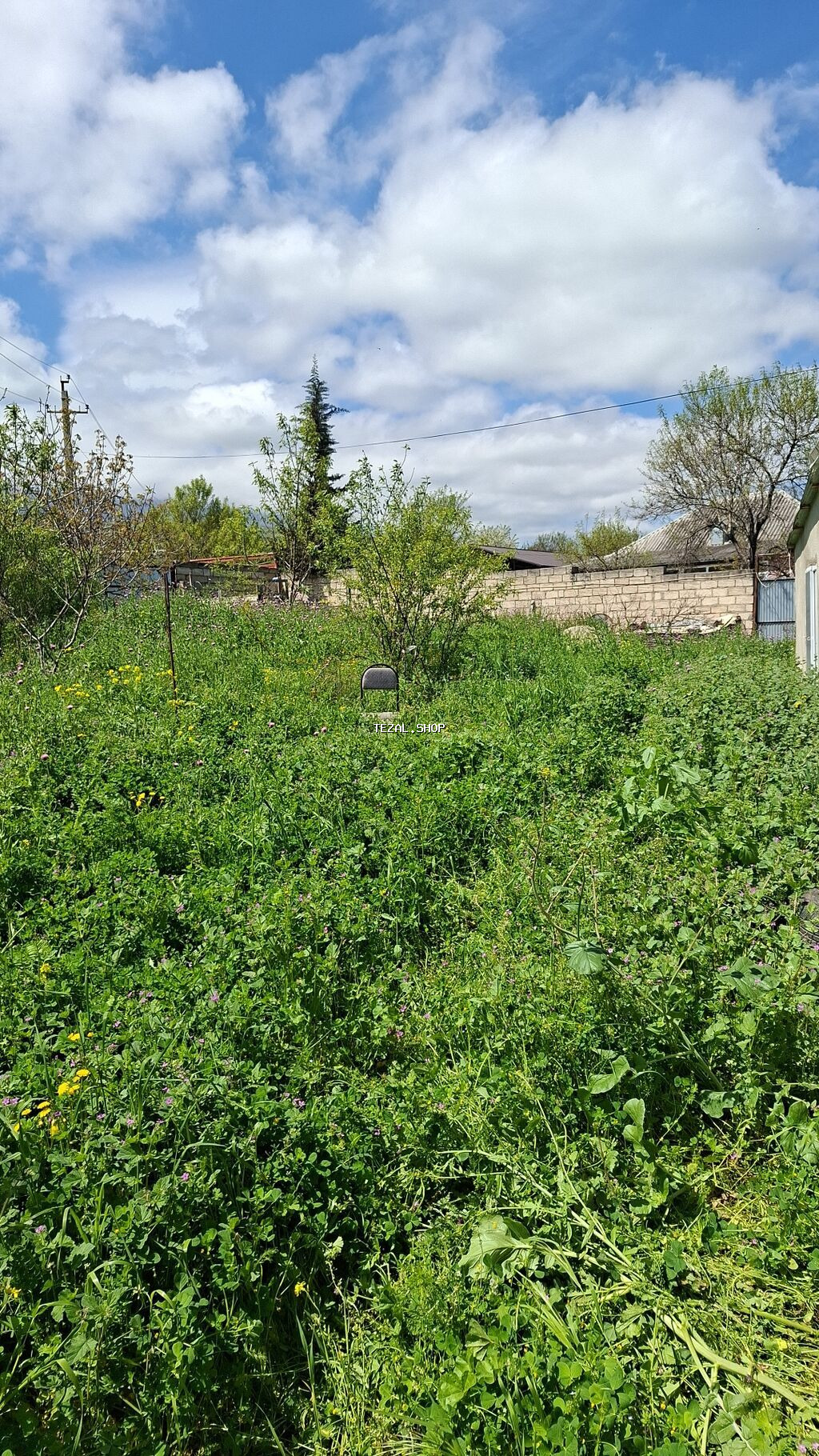 10 sot, Kənd təsərrüfatı, Mülkiyyətçi, Bələdiyyə