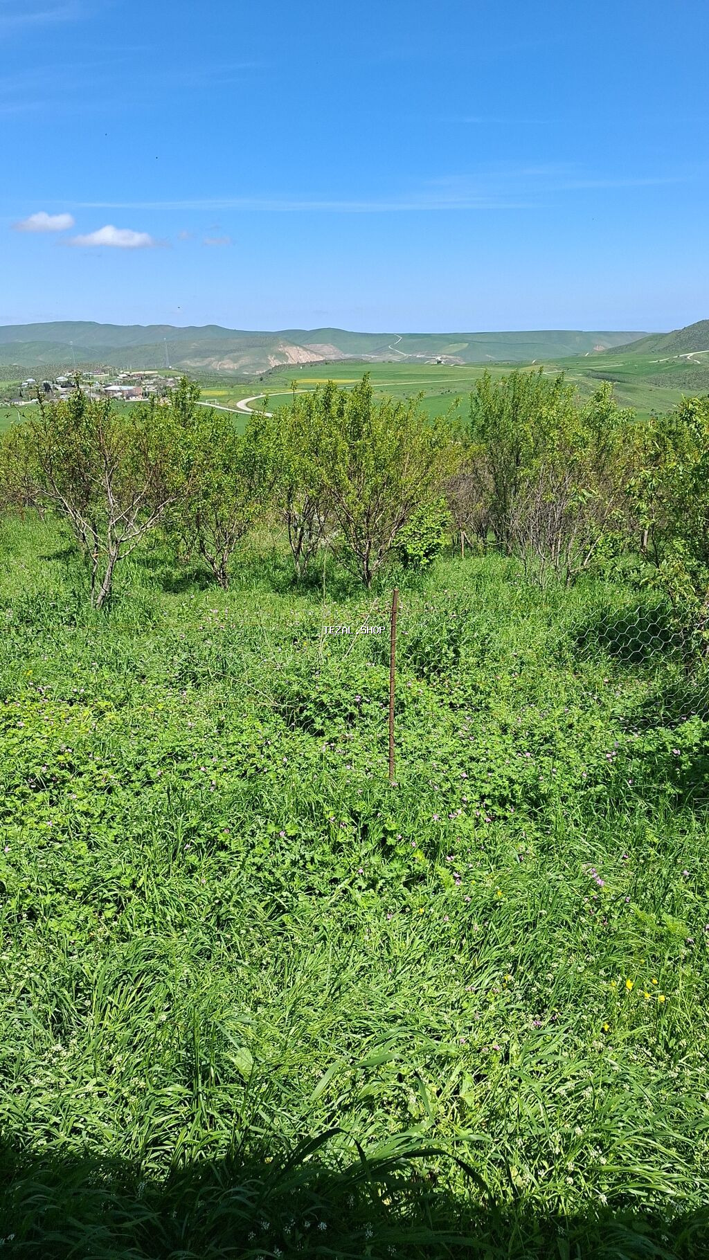 10 sot, Kənd təsərrüfatı, Mülkiyyətçi, Bələdiyyə - şəkil 3