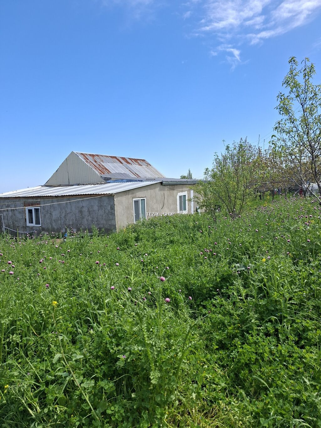 10 sot, Kənd təsərrüfatı, Mülkiyyətçi, Bələdiyyə - şəkil 4