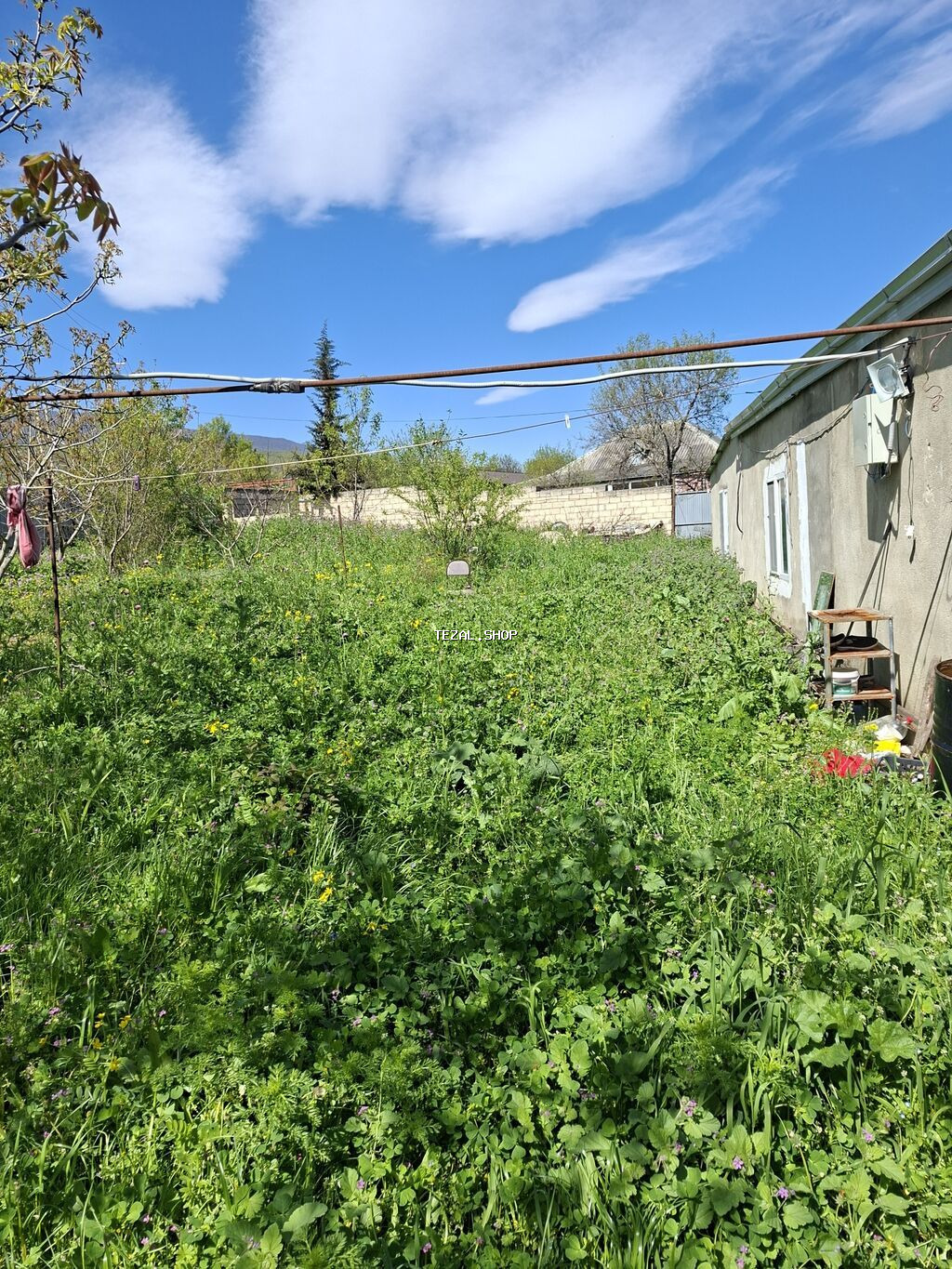 10 sot, Kənd təsərrüfatı, Mülkiyyətçi, Bələdiyyə - şəkil 5