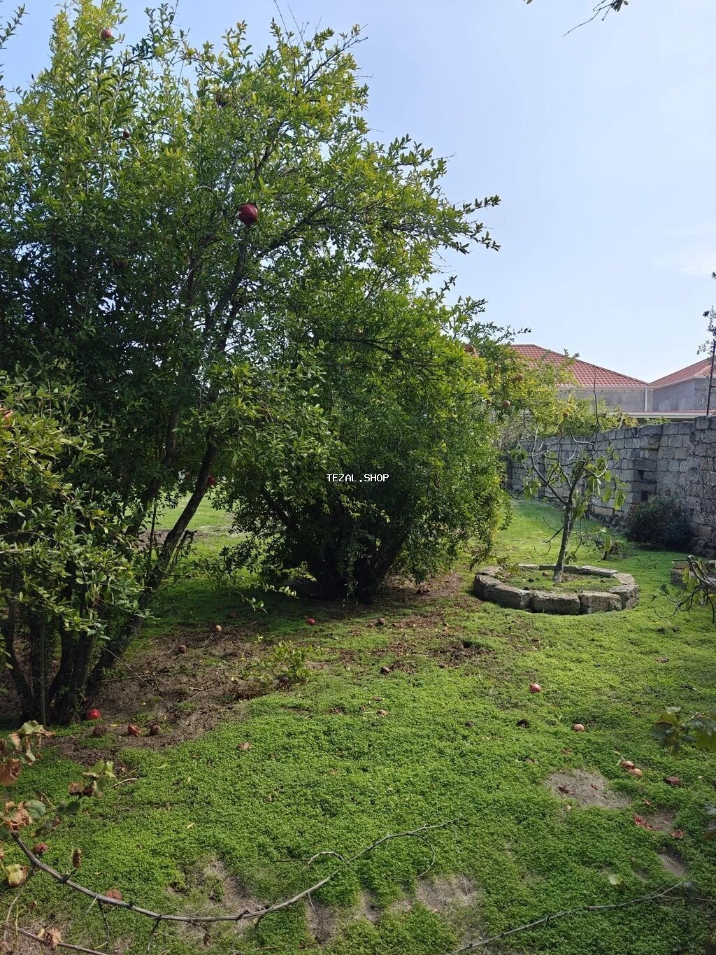 6 sot, Mülkiyyətçi, Kupça (Çıxarış), Texniki pasport - şəkil 2