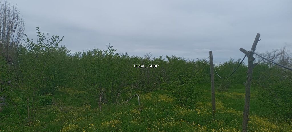55 sot, Kənd təsərrüfatı