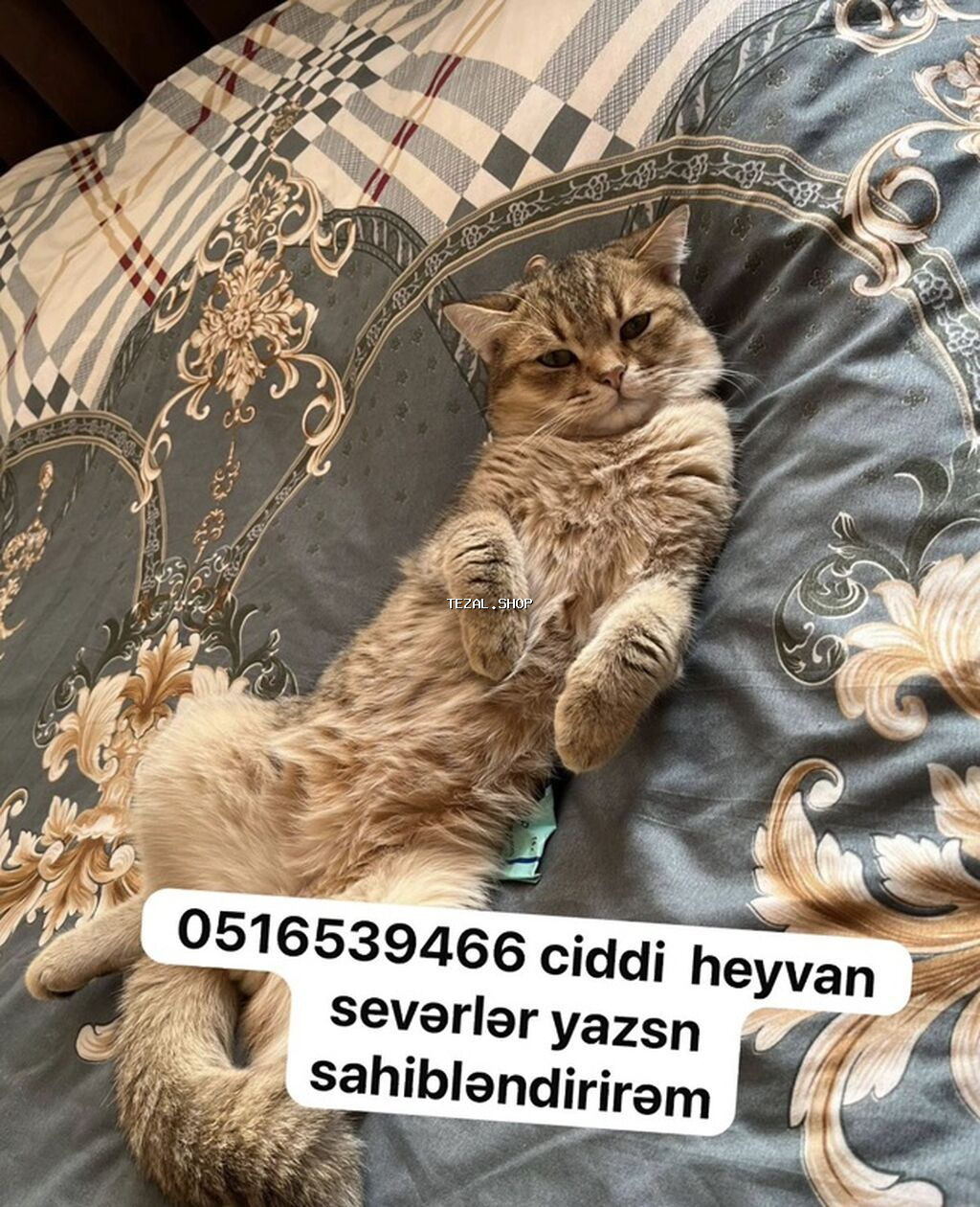 Yaxşı əllərə