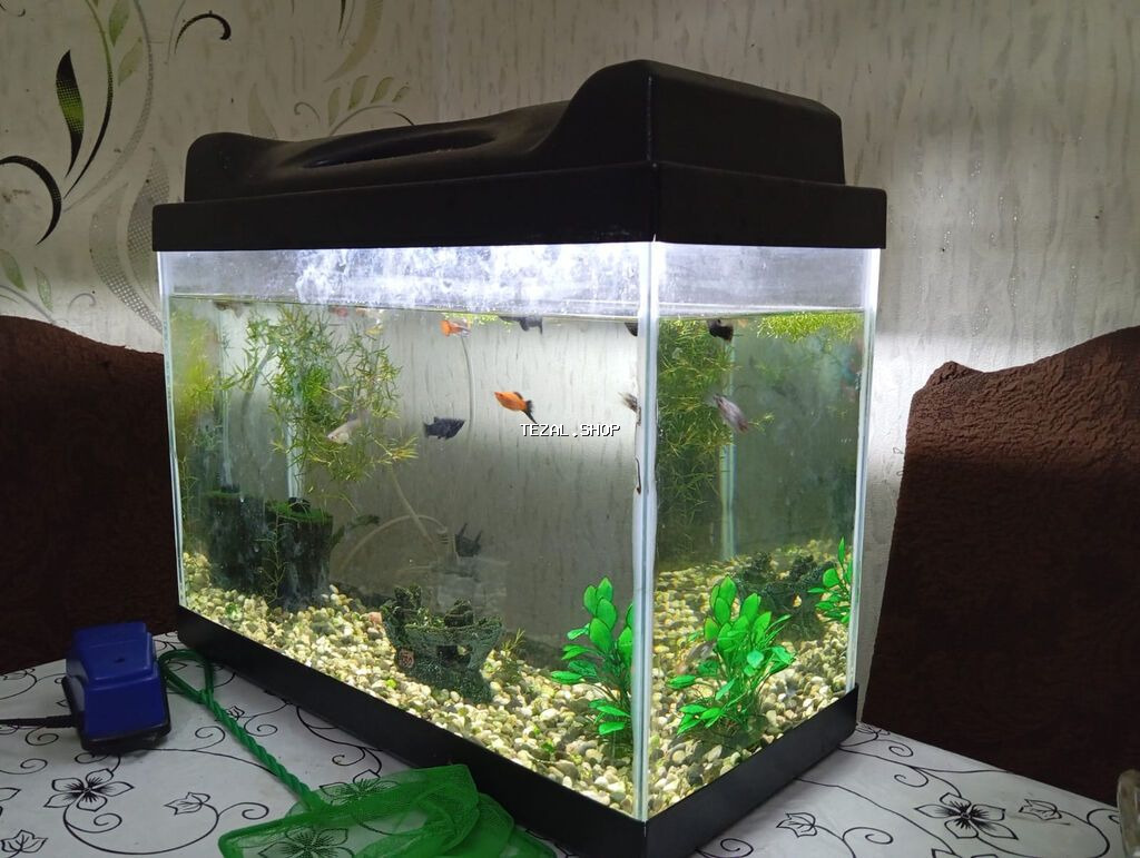 Salam. Zavod istehsali akvarium satilir.Sekilde gorduyunuz kimi qapagi