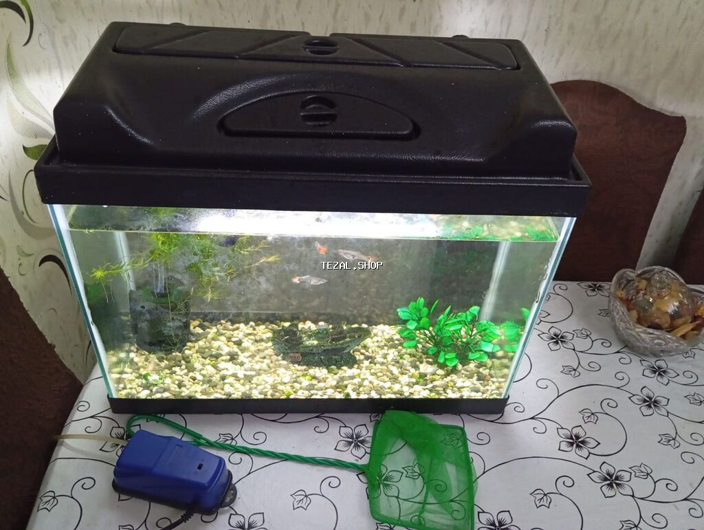 Salam. Zavod istehsali akvarium satilir.Sekilde gorduyunuz kimi qapagi - şəkil 3