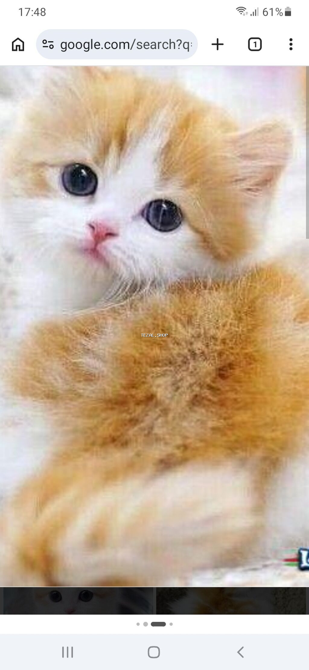 Yaxşı əllərə