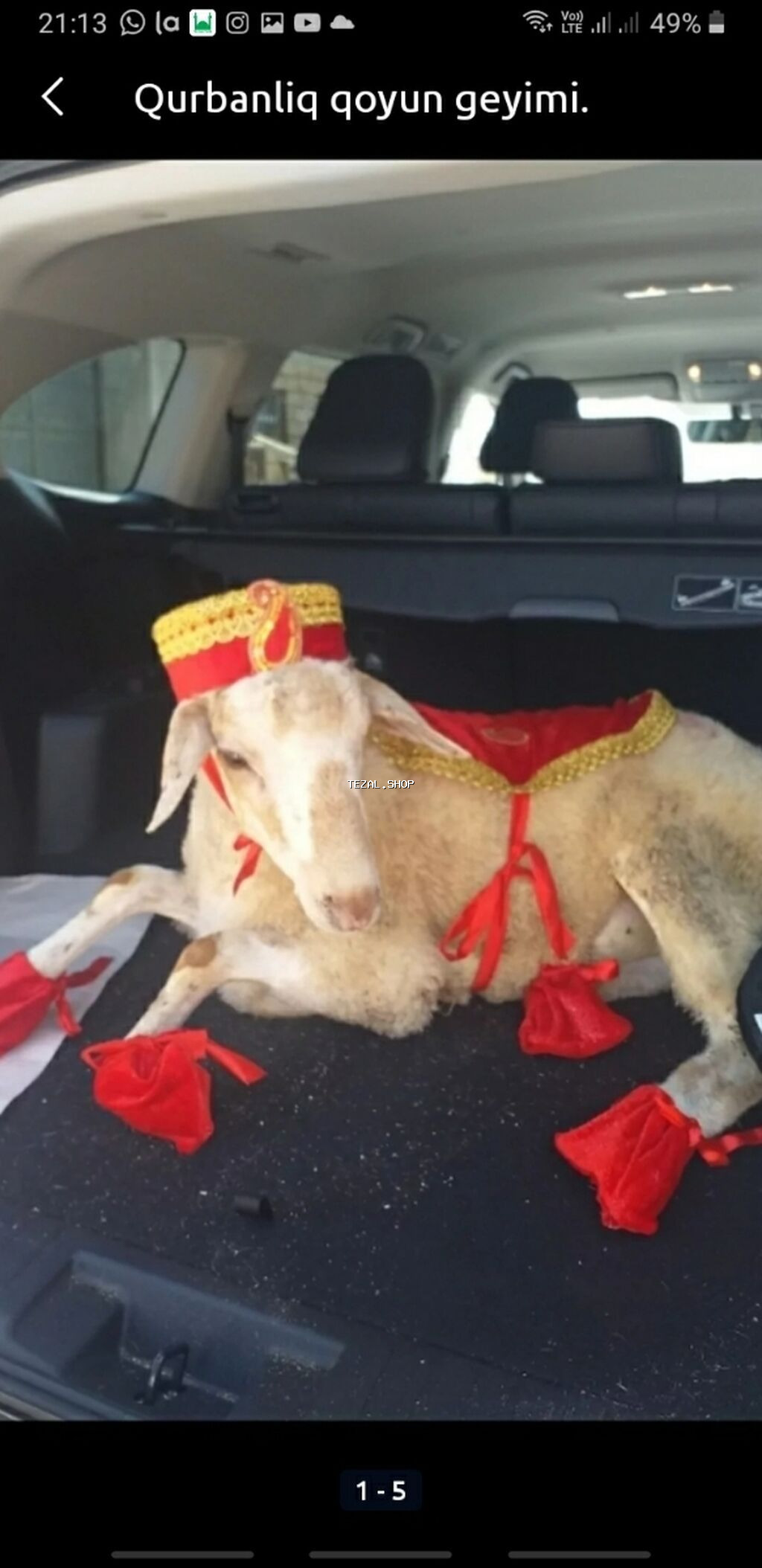Qurbanlıq qoyun geyimi - şəkil 2
