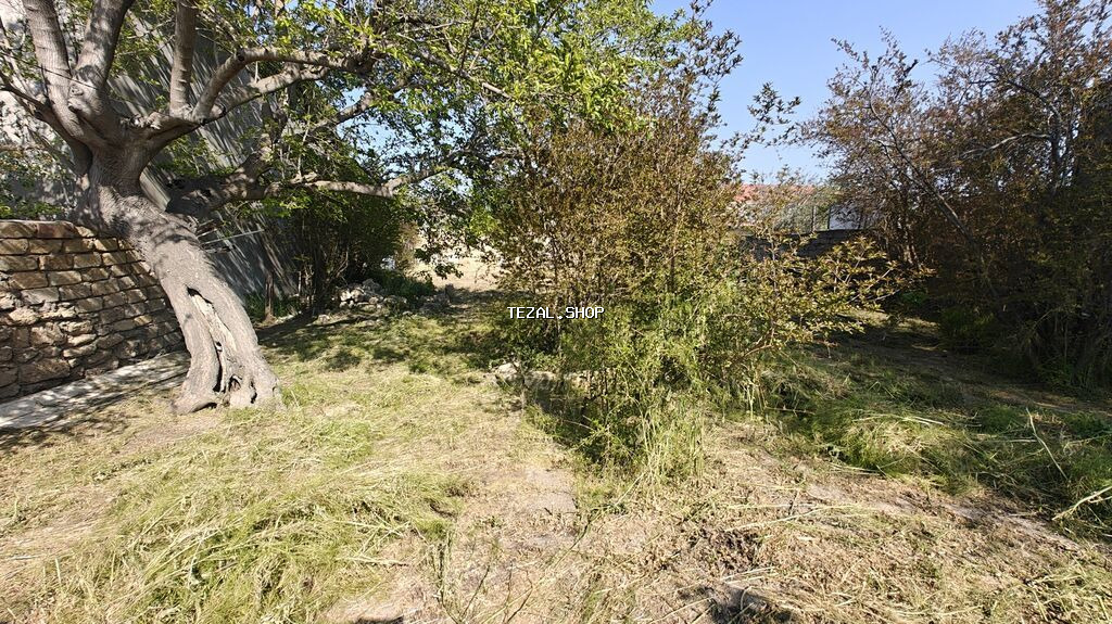 14 sot, Biznes üçün, Mülkiyyətçi, Kupça (Çıxarış) - şəkil 5