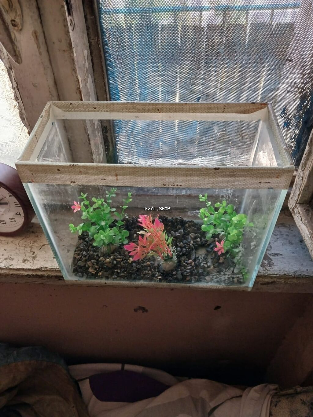 Akvarium Balaca.olculeri 27 12 23normal veziyetde - şəkil 2