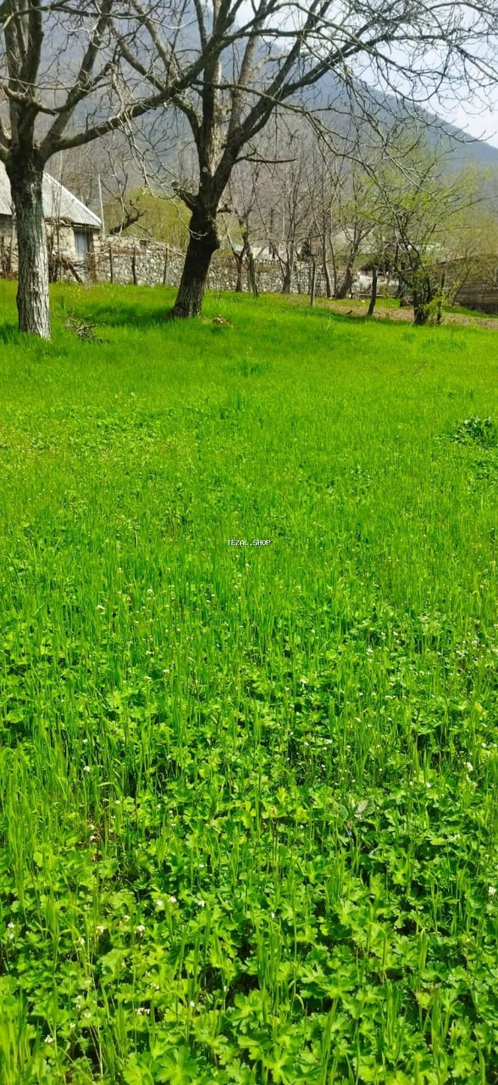 10 sot, Kənd təsərrüfatı, Kupça (Çıxarış) - şəkil 3