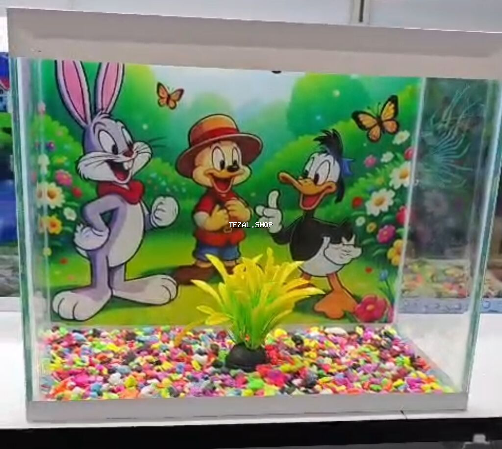 Satiwi 🐬Ağ şəffav danio ve glofishler 0.40azn 🦈 Danio baligi olcu 2