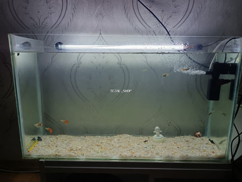 Akvarium boş satılır uz70 en 23 hun 40