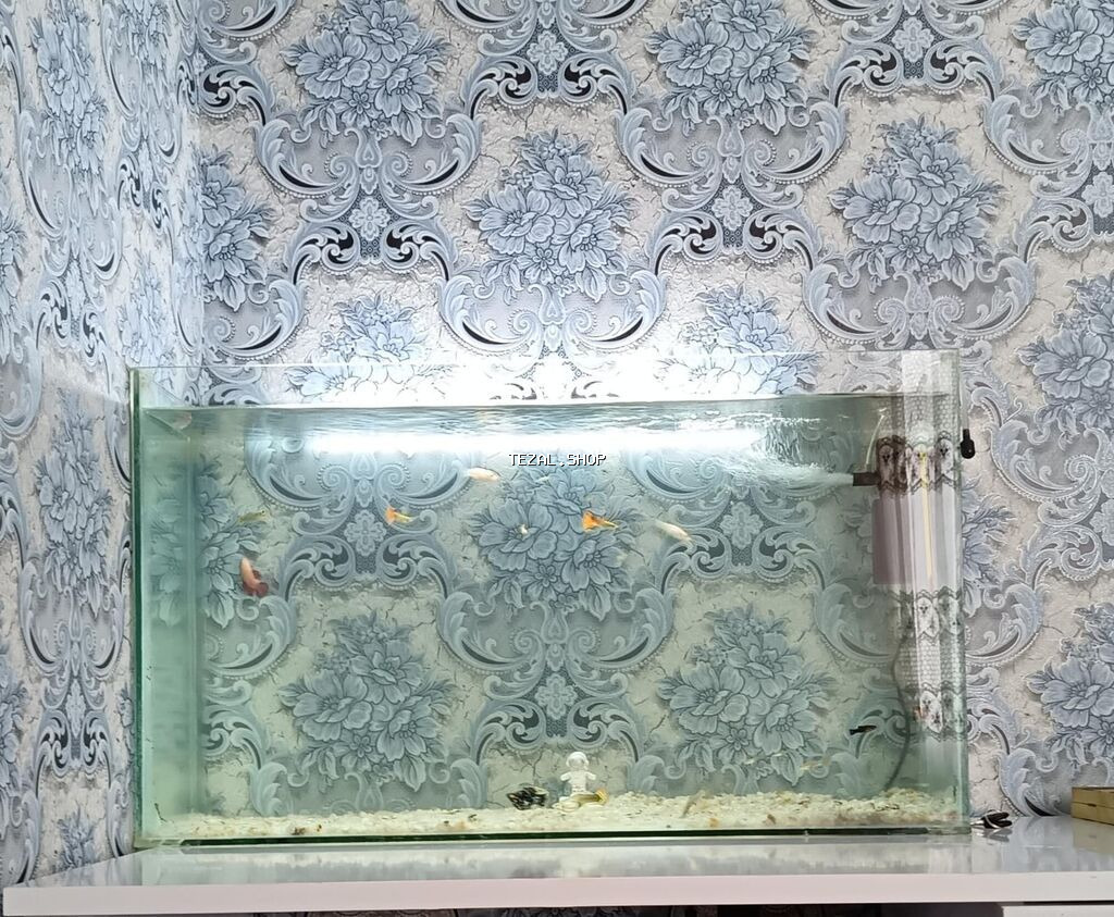 Akvarium boş satılır uz70 en 23 hun 40 - şəkil 2
